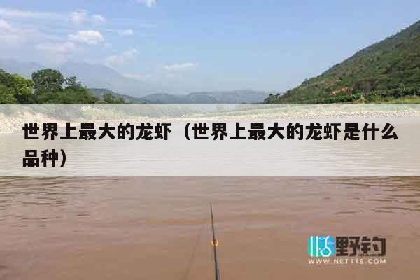 世界上最大的龙虾（世界上最大的龙虾是什么品种）