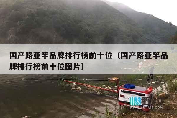 国产路亚竿品牌排行榜前十位（国产路亚竿品牌排行榜前十位图片）