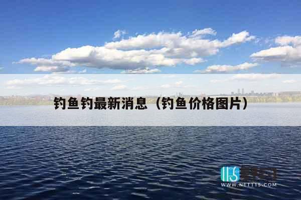 钓鱼钓最新消息（钓鱼价格图片）