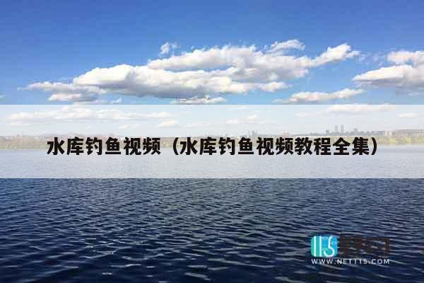 水库钓鱼视频（水库钓鱼视频教程全集）