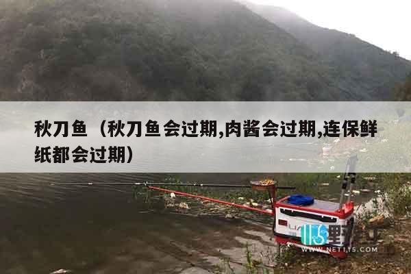 秋刀鱼（秋刀鱼会过期,肉酱会过期,连保鲜纸都会过期）