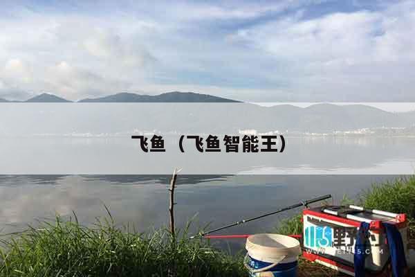 飞鱼（飞鱼智能王）