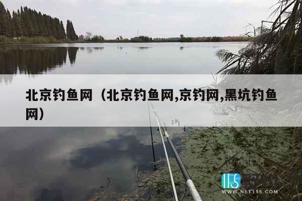 北京钓鱼网（北京钓鱼网,京钓网,黑坑钓鱼网）