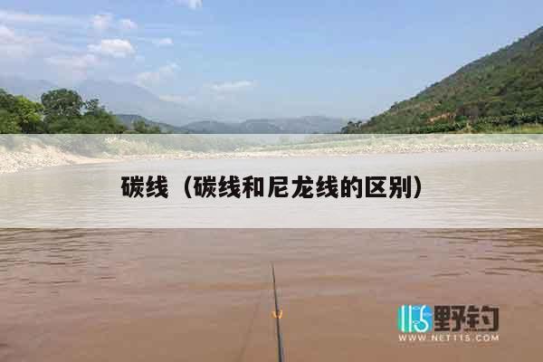 碳线（碳线和尼龙线的区别）
