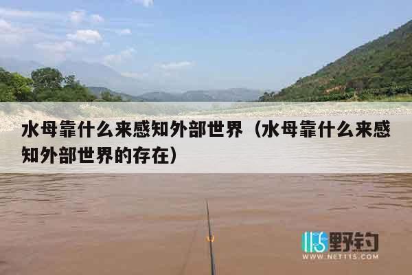 水母靠什么来感知外部世界（水母靠什么来感知外部世界的存在）