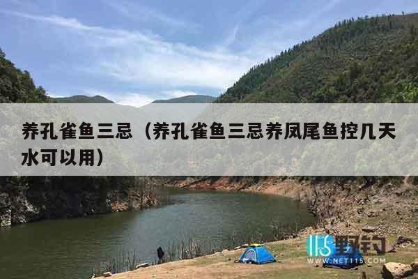 养孔雀鱼三忌（养孔雀鱼三忌养凤尾鱼控几天水可以用）