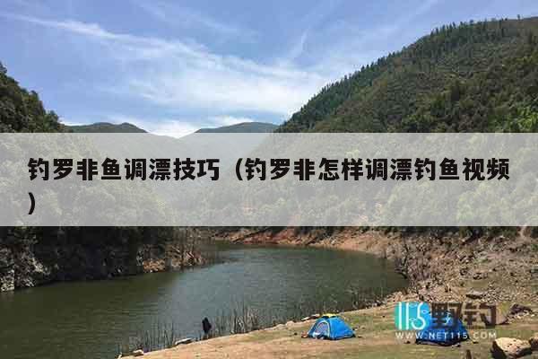 钓罗非鱼调漂技巧（钓罗非怎样调漂钓鱼视频）