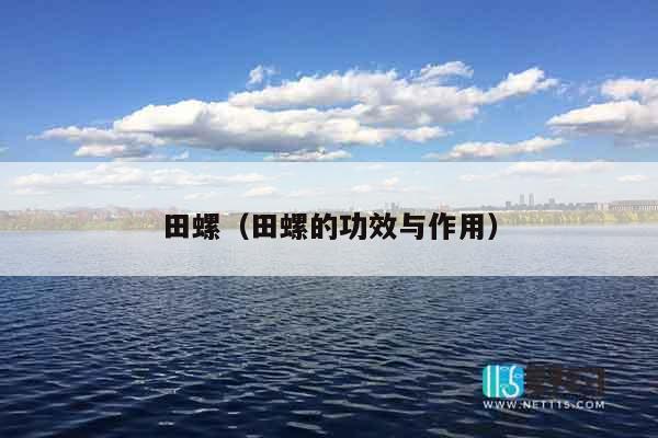 田螺（田螺的功效与作用）