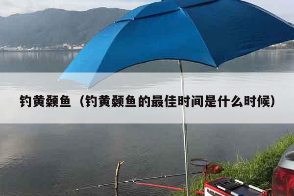 钓黄颡鱼（钓黄颡鱼的最佳时间是什么时候）