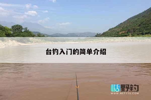 台钓入门的简单介绍