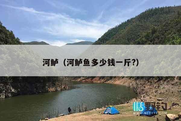 河鲈（河鲈鱼多少钱一斤?）
