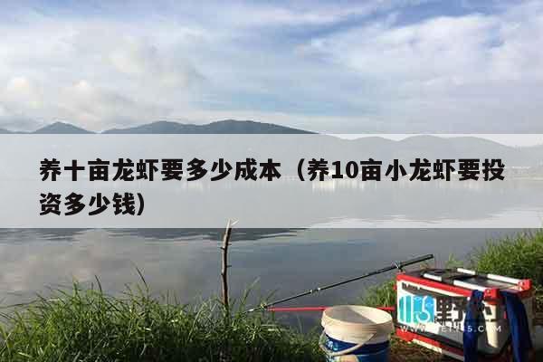 养十亩龙虾要多少成本（养10亩小龙虾要投资多少钱）