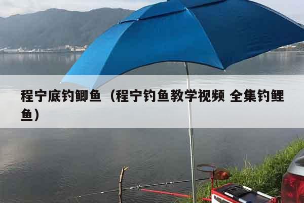程宁底钓鲫鱼（程宁钓鱼教学视频 全集钓鲤鱼）