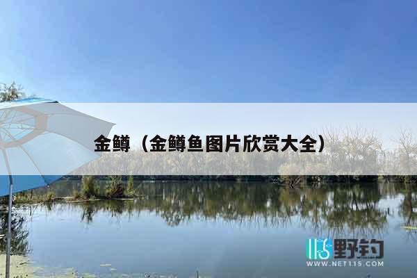金鳟（金鳟鱼图片欣赏大全）