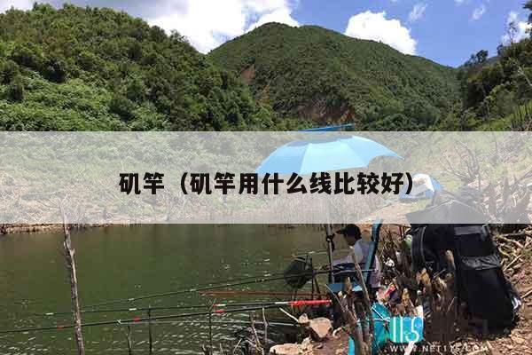 矶竿（矶竿用什么线比较好）