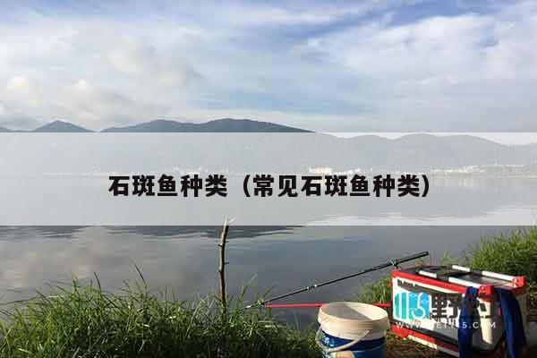 石斑鱼种类（常见石斑鱼种类）