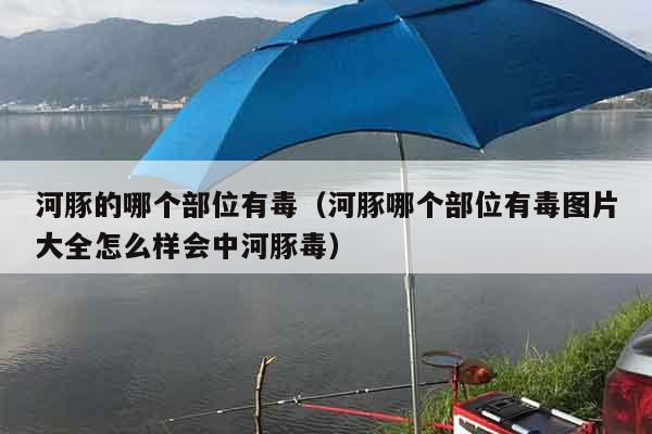 河豚的哪个部位有毒（河豚哪个部位有毒图片大全怎么样会中河豚毒）