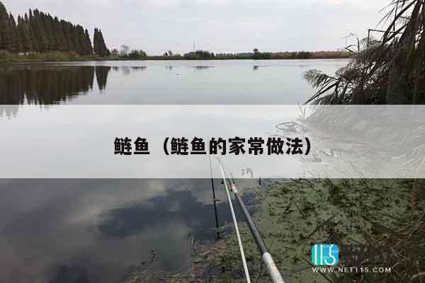 鲢鱼（鲢鱼的家常做法）