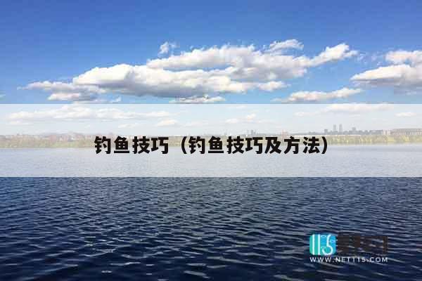 钓鱼技巧（钓鱼技巧及方法）