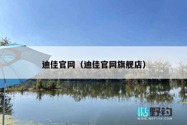迪佳官网（迪佳官网旗舰店）