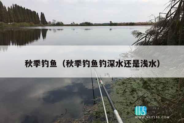 秋季钓鱼（秋季钓鱼钓深水还是浅水）