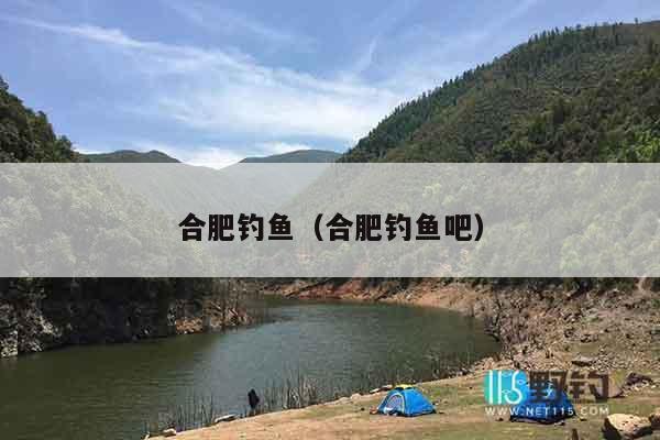 合肥钓鱼（合肥钓鱼吧）