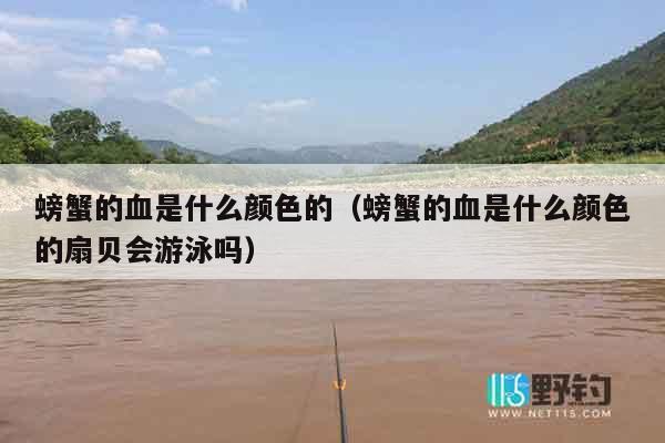 螃蟹的血是什么颜色的（螃蟹的血是什么颜色的扇贝会游泳吗）