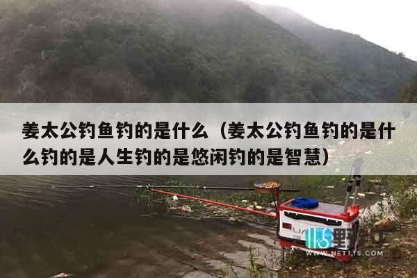 姜太公钓鱼钓的是什么（姜太公钓鱼钓的是什么钓的是人生钓的是悠闲钓的是智慧）