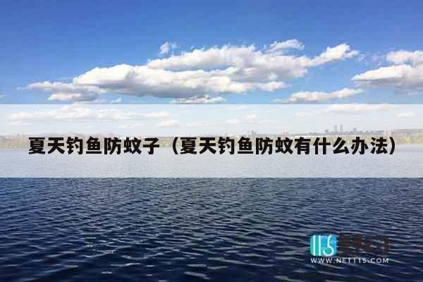 夏天钓鱼防蚊子（夏天钓鱼防蚊有什么办法）