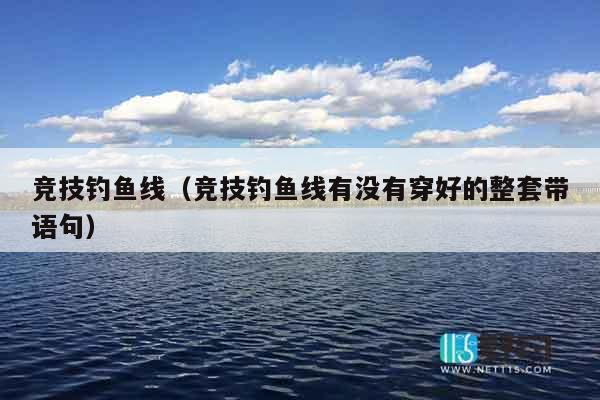 竞技钓鱼线（竞技钓鱼线有没有穿好的整套带语句）