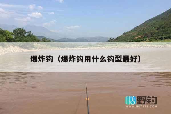 爆炸钩（爆炸钩用什么钩型最好）