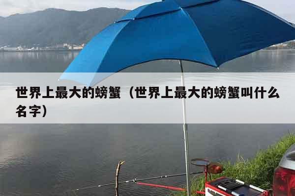 世界上最大的螃蟹（世界上最大的螃蟹叫什么名字）