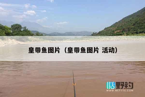 皇带鱼图片（皇带鱼图片 活动）