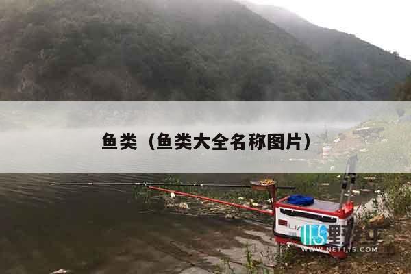 鱼类（鱼类大全名称图片）