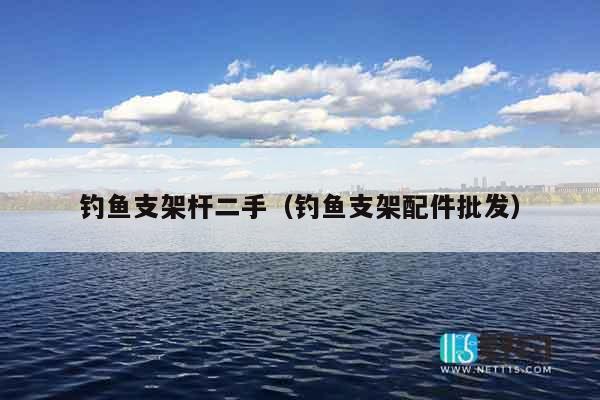 钓鱼支架杆二手（钓鱼支架配件批发）
