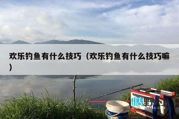 欢乐钓鱼有什么技巧（欢乐钓鱼有什么技巧嘛）