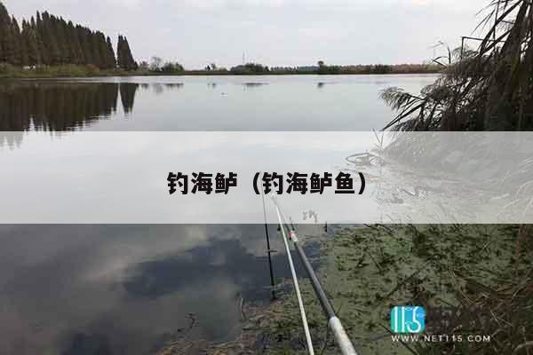 钓海鲈（钓海鲈鱼）