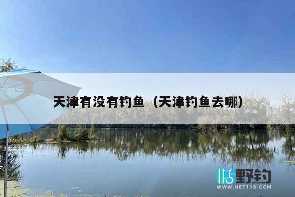 天津有没有钓鱼（天津钓鱼去哪）