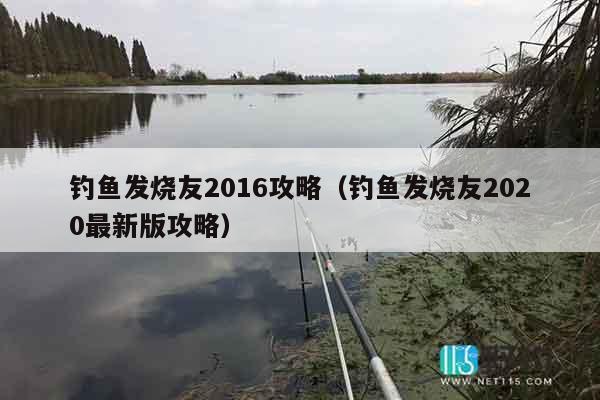 钓鱼发烧友2016攻略（钓鱼发烧友2020最新版攻略）