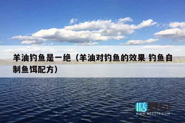 羊油钓鱼是一绝（羊油对钓鱼的效果 钓鱼自制鱼饵配方）