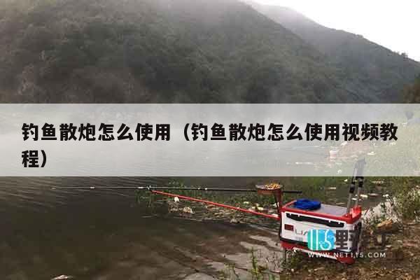 钓鱼散炮怎么使用（钓鱼散炮怎么使用视频教程）