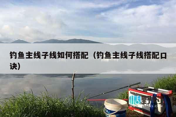 钓鱼主线子线如何搭配（钓鱼主线子线搭配口诀）