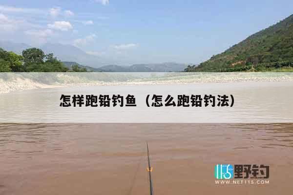 怎样跑铅钓鱼（怎么跑铅钓法）