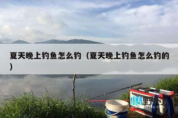 夏天晚上钓鱼怎么钓（夏天晚上钓鱼怎么钓的）