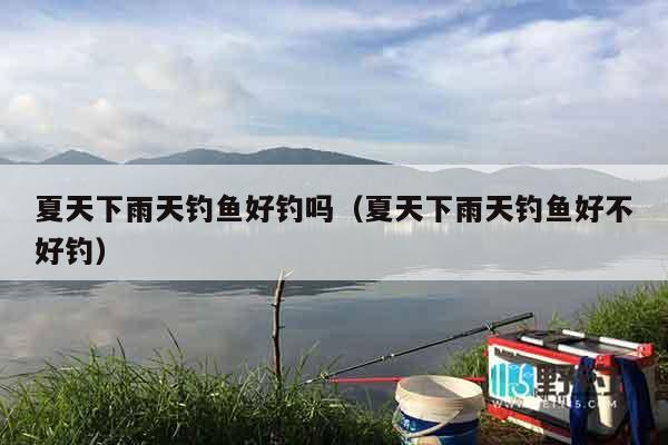 夏天下雨天钓鱼好钓吗（夏天下雨天钓鱼好不好钓）