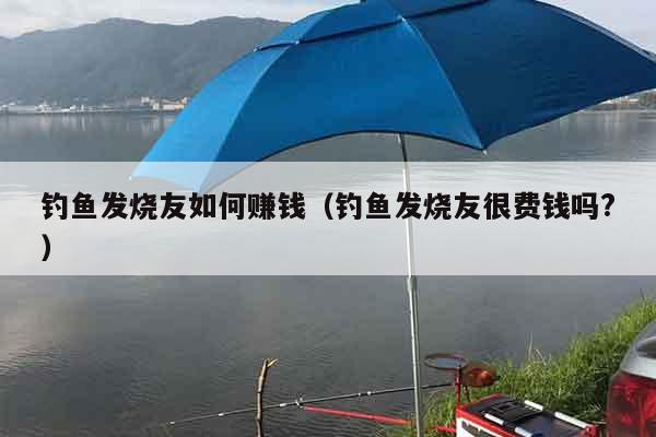 钓鱼发烧友如何赚钱（钓鱼发烧友很费钱吗?）