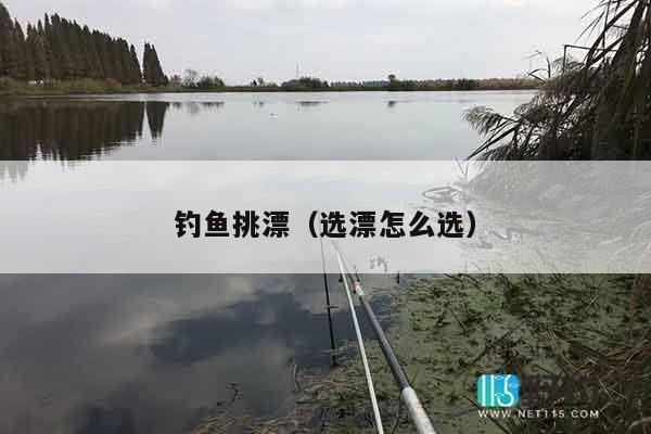 钓鱼挑漂（选漂怎么选）