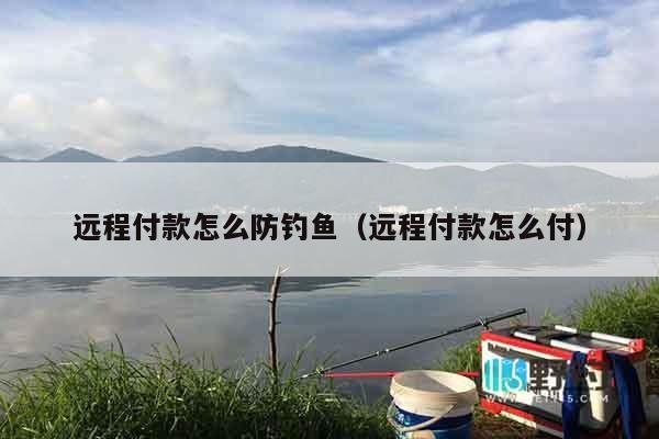 远程付款怎么防钓鱼（远程付款怎么付）