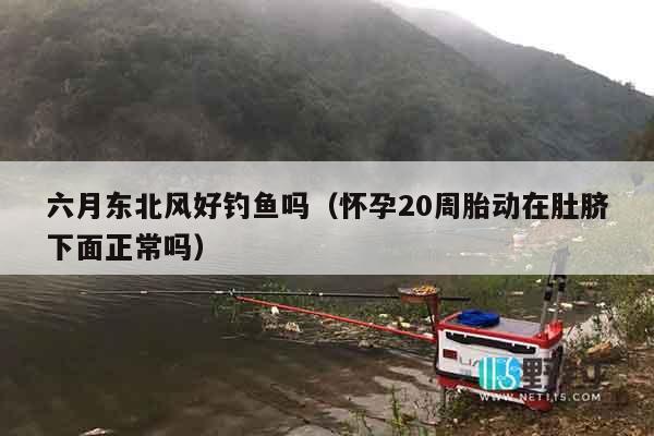 六月东北风好钓鱼吗（怀孕20周胎动在肚脐下面正常吗）