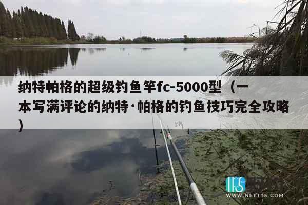 纳特帕格的超级钓鱼竿fc-5000型（一本写满评论的纳特·帕格的钓鱼技巧完全攻略）